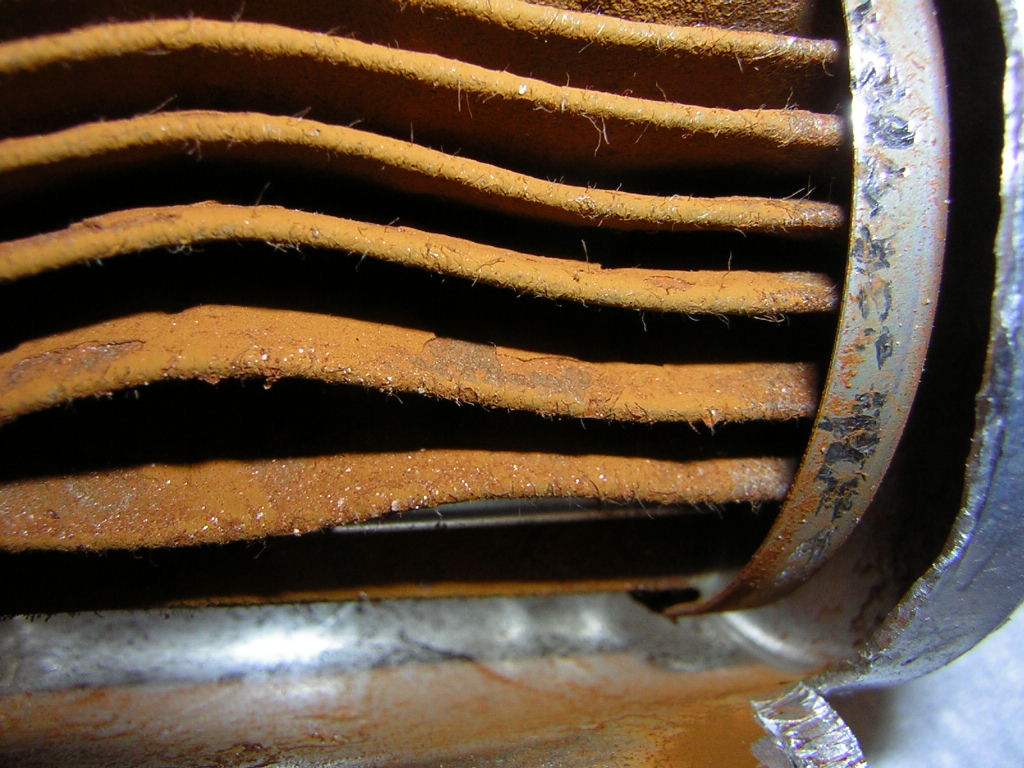 Fuel filter exposed