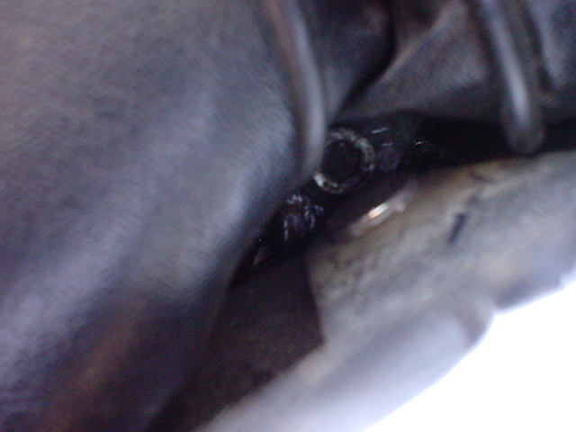Honda Shadow, turn signal, move, relocate